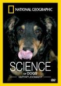 A Ciência dos Cães