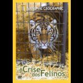 A Crise dos Felinos