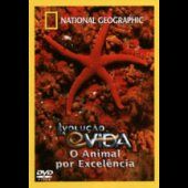 A Evolução da Vida - O Animal por Excelência
