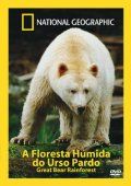 A Floresta Húmida do Urso Pardo
