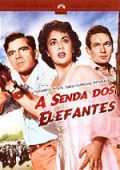 A Senda dos Elefantes