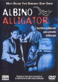Albino Alligator