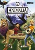 Animalia - 2