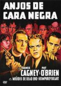 Anjos de Cara Negra