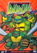 As Novas Tartarugas Ninja 1