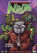 As Novas Tartarugas Ninja 9 - Em Busca do Mestre