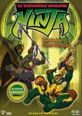 As Tartarugas Mutantes Ninja - Lenda dos Cinco Dragões