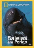 Baleias em Perigo