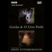 BBC Vida Selvagem - Gorilas & O Urso Pardo