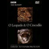 BBC Vida Selvagem - O Leopardo & O Crocodilo