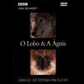 BBC Vida Selvagem - O Lobo & A Águia