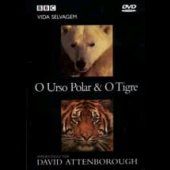 BBC Vida Selvagem - O Urso Polar & O Tigre