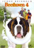 Beethoven 4