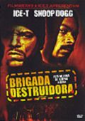Brigada Destruidora