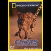 Chitas - A Corrida Fatal