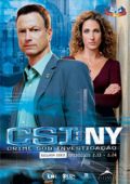 CSI - Crime Sob Investigação NY - Série 2 - Parte 2