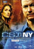 CSI - Crime Sob Investigação NY - Série 3 - Parte 1