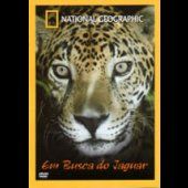 Em Busca do Jaguar