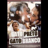 Gato Preto Gato Branco