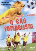 O Cão Futebolista