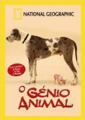 O Génio Animal