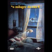 O Milagre da Rua 8
