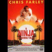 O Ninja de Beverly Hills