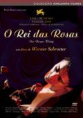 O Rei das Rosas