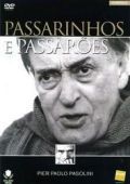 Passarinhos e Passarões