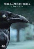 Sete Palmos de Terra - A Quarta Série